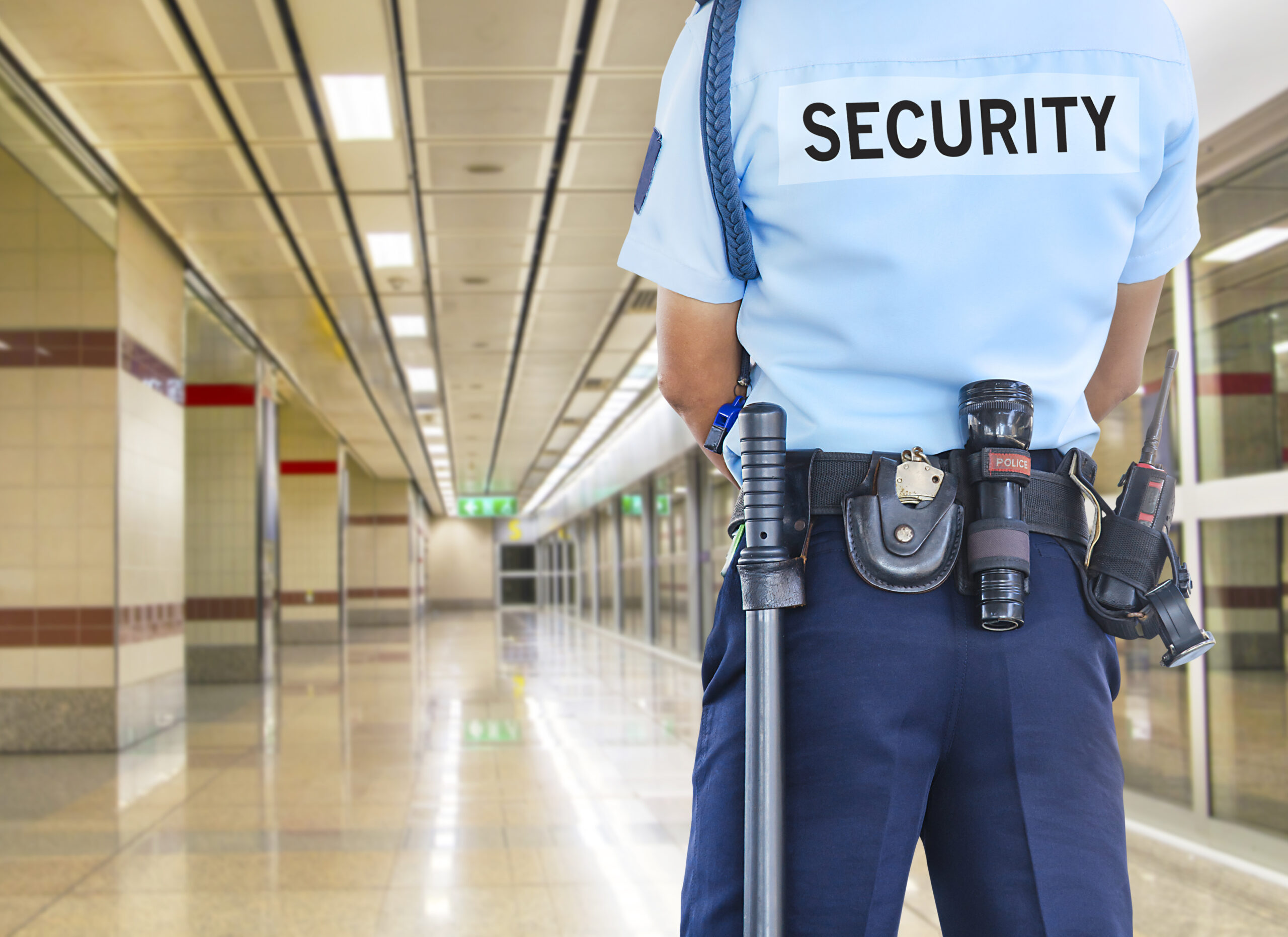 Back view of a standing security guard